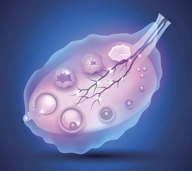 贵阳市三代试管比较好的私立医院最新排名